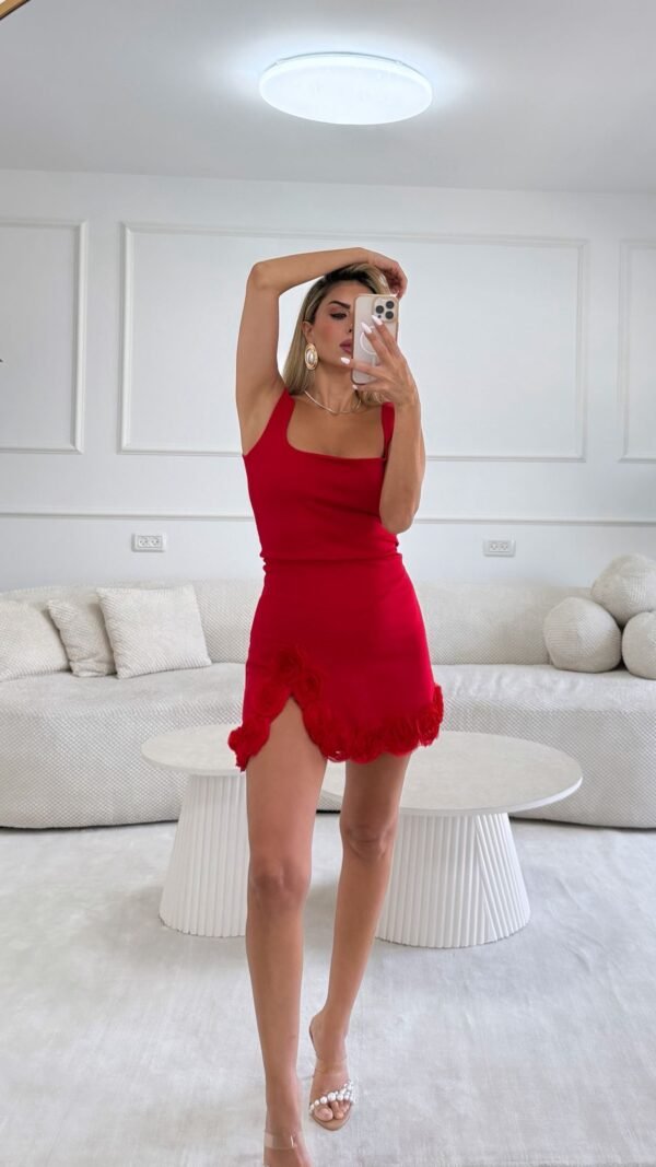 Bianca Rose Mini Dress